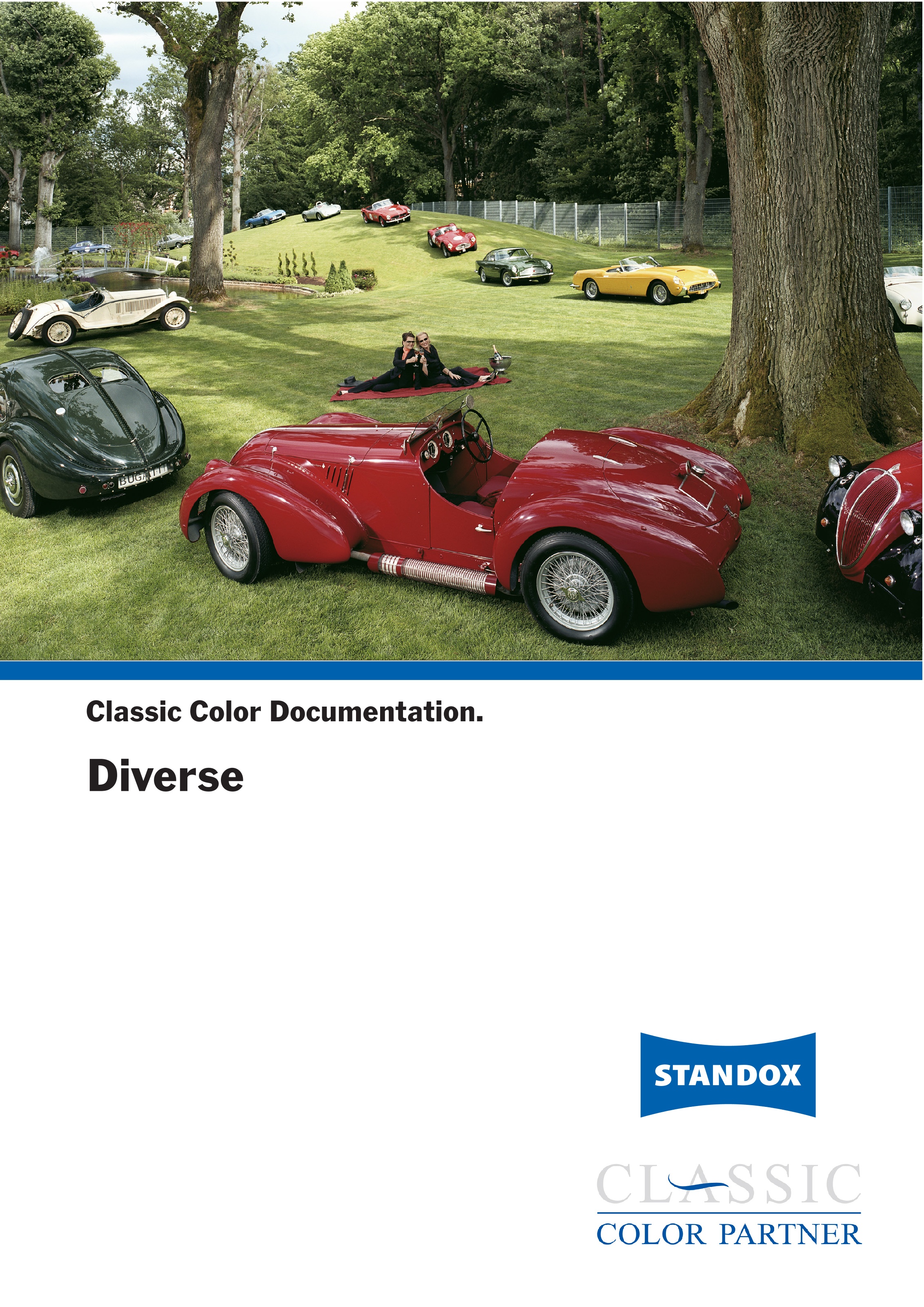 Classic Color Documentation Diverse